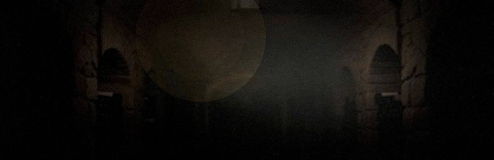 Dark stone wine cellar with bottles fading into shadow, atmosphere for a rare wine archive.