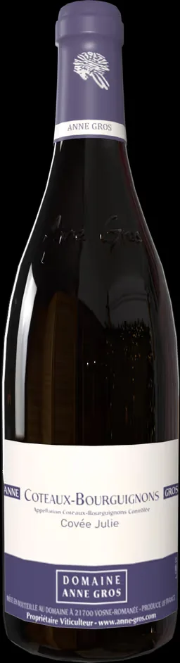 Domaine Anne Gros, Coteaux Bourguignons, Cuvée Julie 2023 0.75L bottle