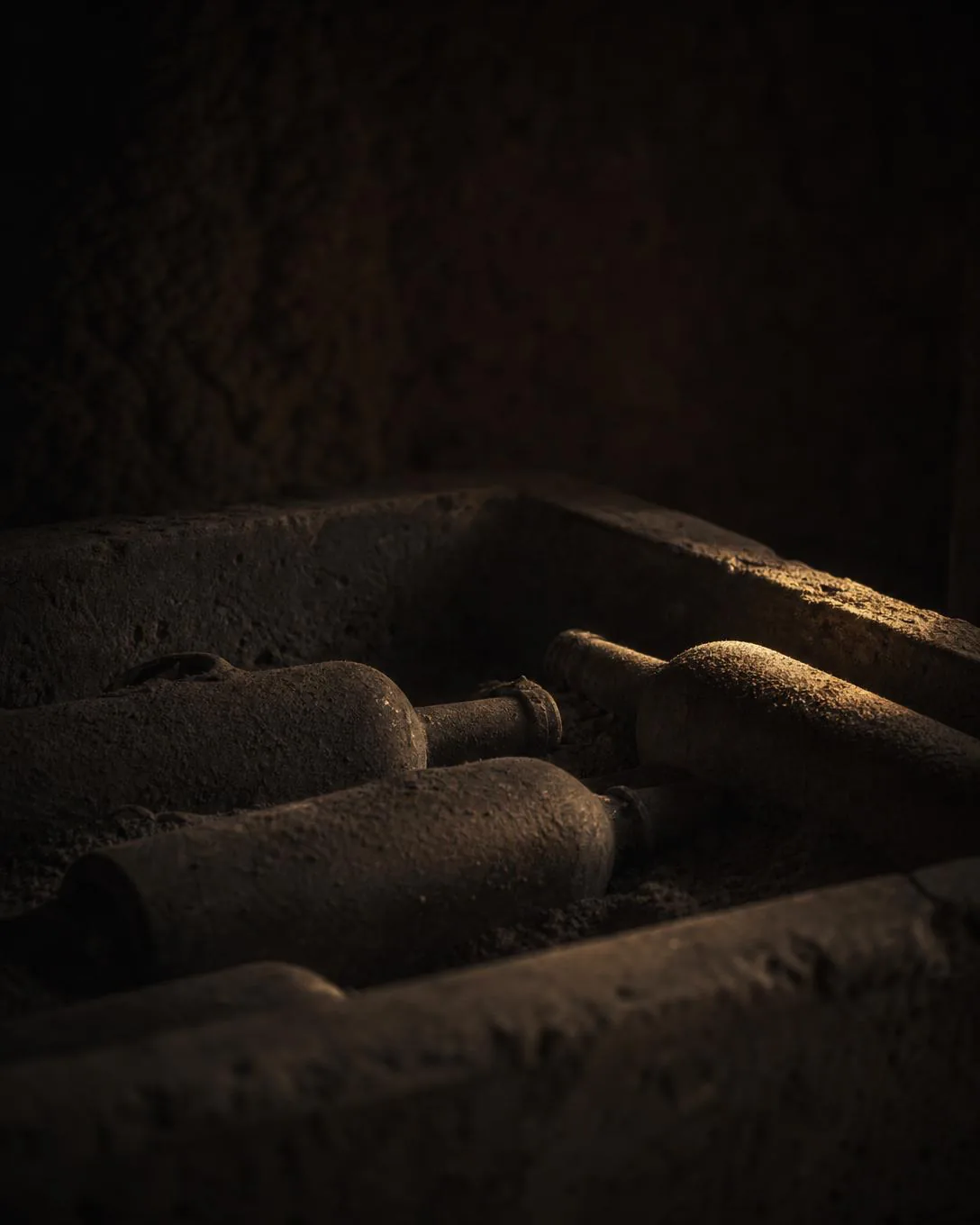 Bottles resting in a stone bin under decades of undisturbed cellar dust.