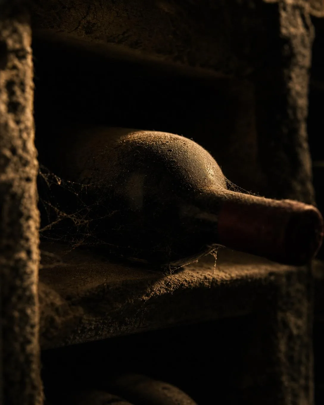 A single bottle lying in a stone rack in near darkness, covered in cellar patina.
