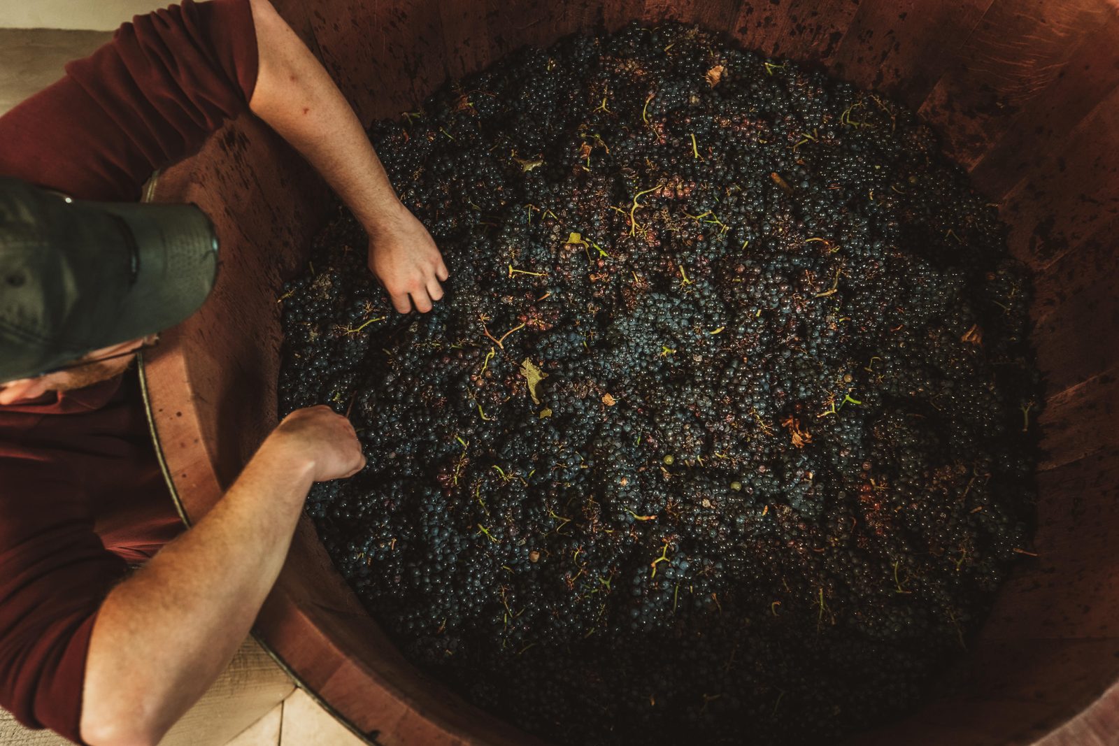 Whole bunches laid by hand into a small open vat at Domaine Kuheiji, October 2021.